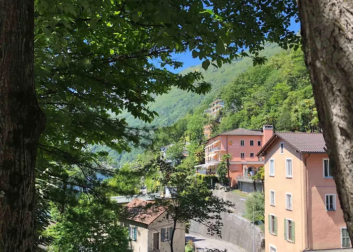 Arancio ホテル 3*